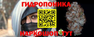 гидра Наро-Фоминск